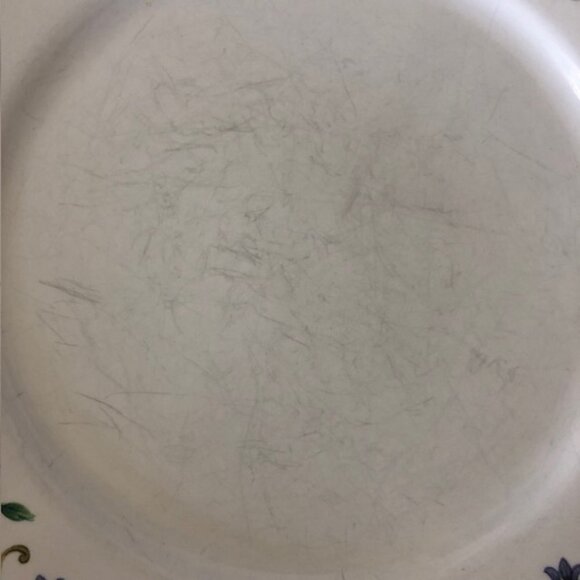 LENOX Rose Garden Dinner Plates Casual Images @ 11" - Picture 13 of 14